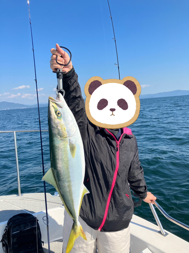 ハマチの釣果