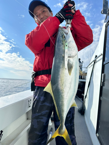 ブリの釣果