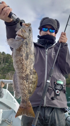 アイナメの釣果