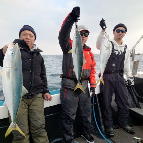 ブリの釣果