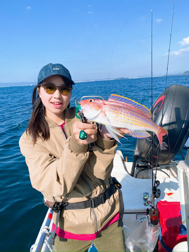 イトヨリダイの釣果