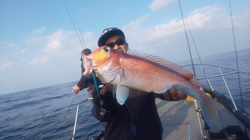 アマダイの釣果