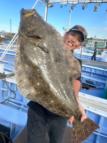 イナダの釣果