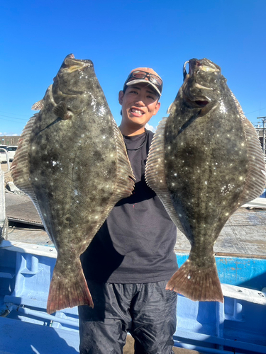 ヒラメの釣果