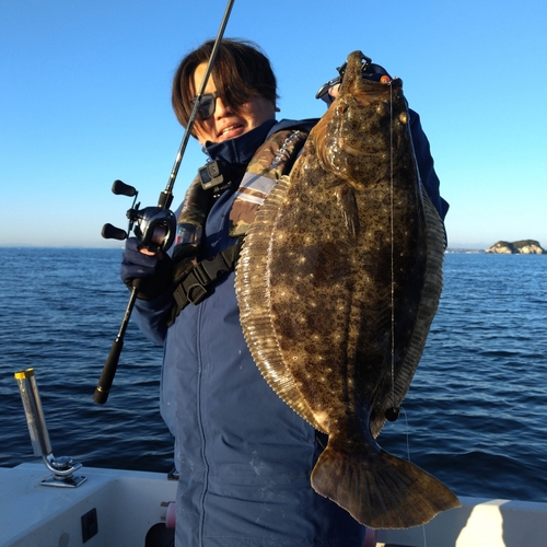 ヒラメの釣果