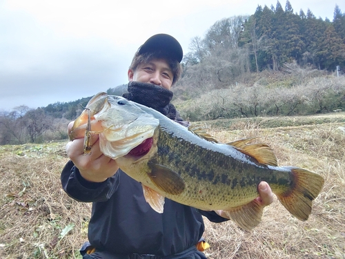 ラージマウスバスの釣果