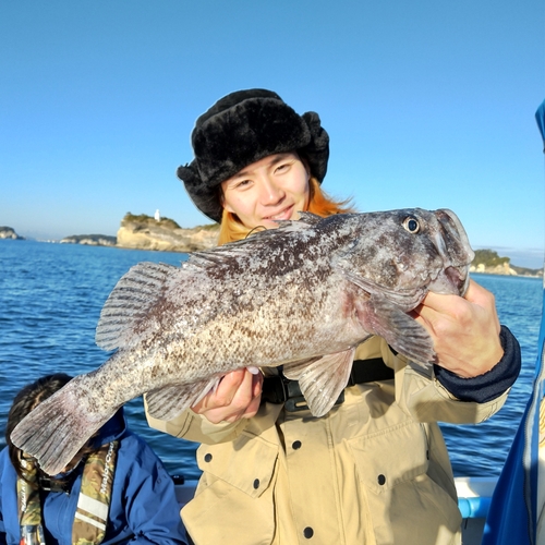 クロソイの釣果