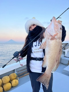 オオモンハタの釣果