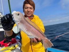 シロアマダイの釣果