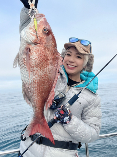 マダイの釣果