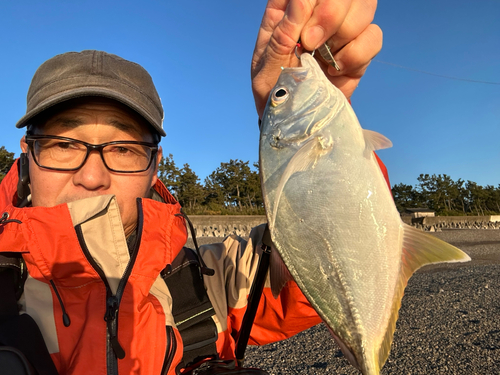 メッキの釣果