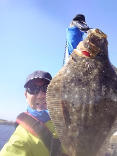 ヒラメの釣果