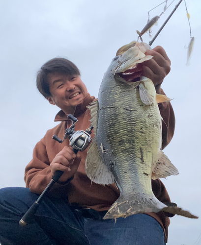 ブラックバスの釣果