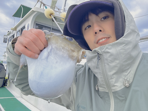 ヨリトフグの釣果