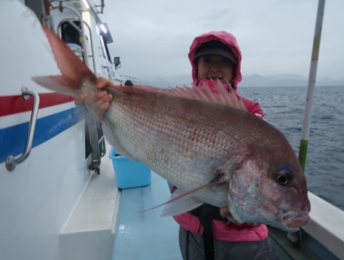 マダイの釣果