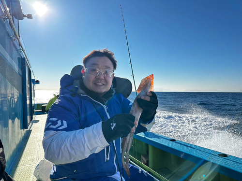 ヤリイカの釣果