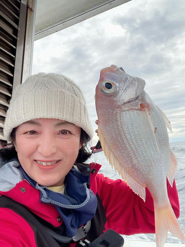 レンコダイの釣果