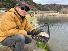 ニジマスの釣果