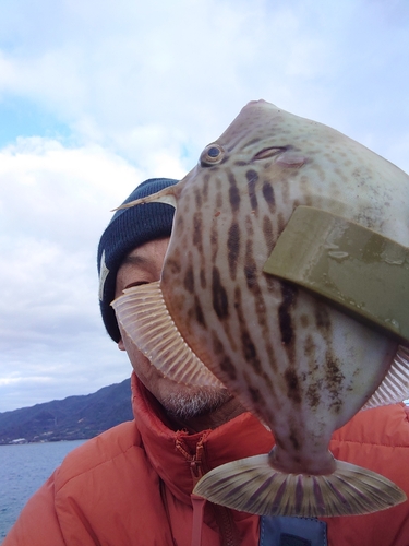 カワハギの釣果