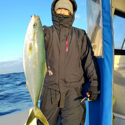 ワラサの釣果