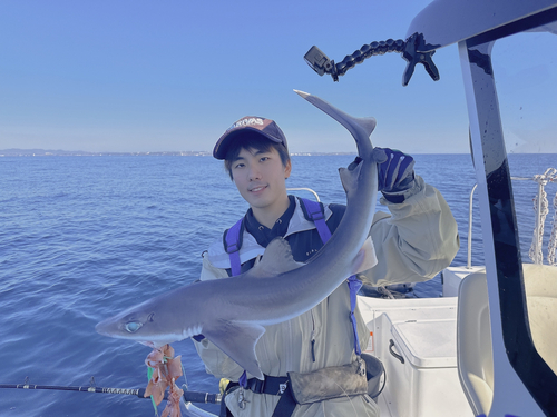 フトツノザメの釣果