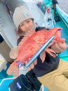 オニカサゴの釣果