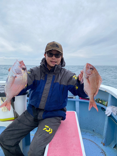 マダイの釣果