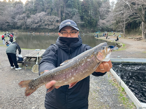 ロックトラウトの釣果