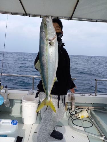 アマダイの釣果