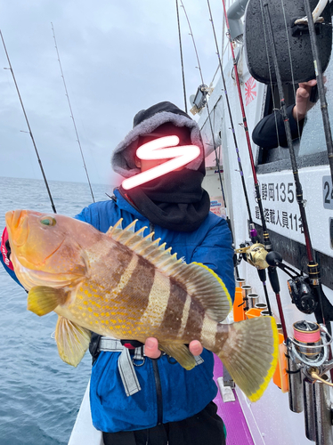 アオハタの釣果