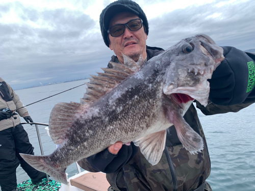 クロソイの釣果