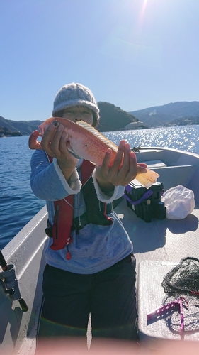 シロアマダイの釣果