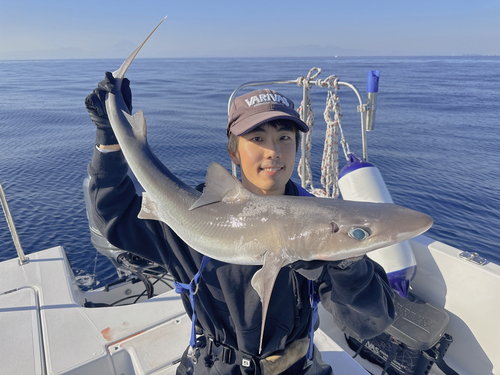 フトツノザメの釣果