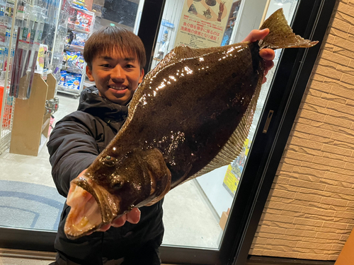 ヒラメの釣果