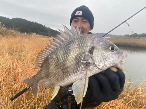 キチヌの釣果