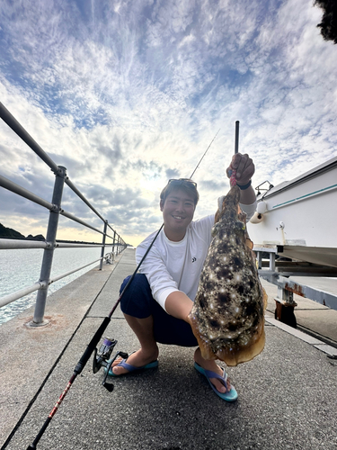 コブシメの釣果