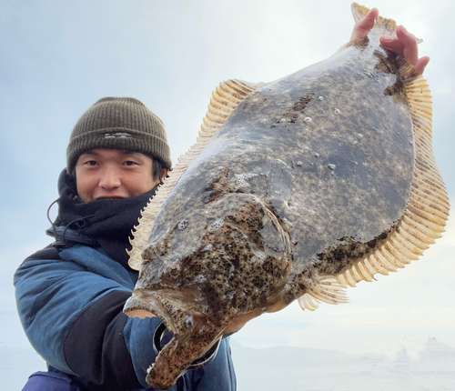 ヒラメの釣果