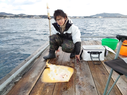 アカエイの釣果