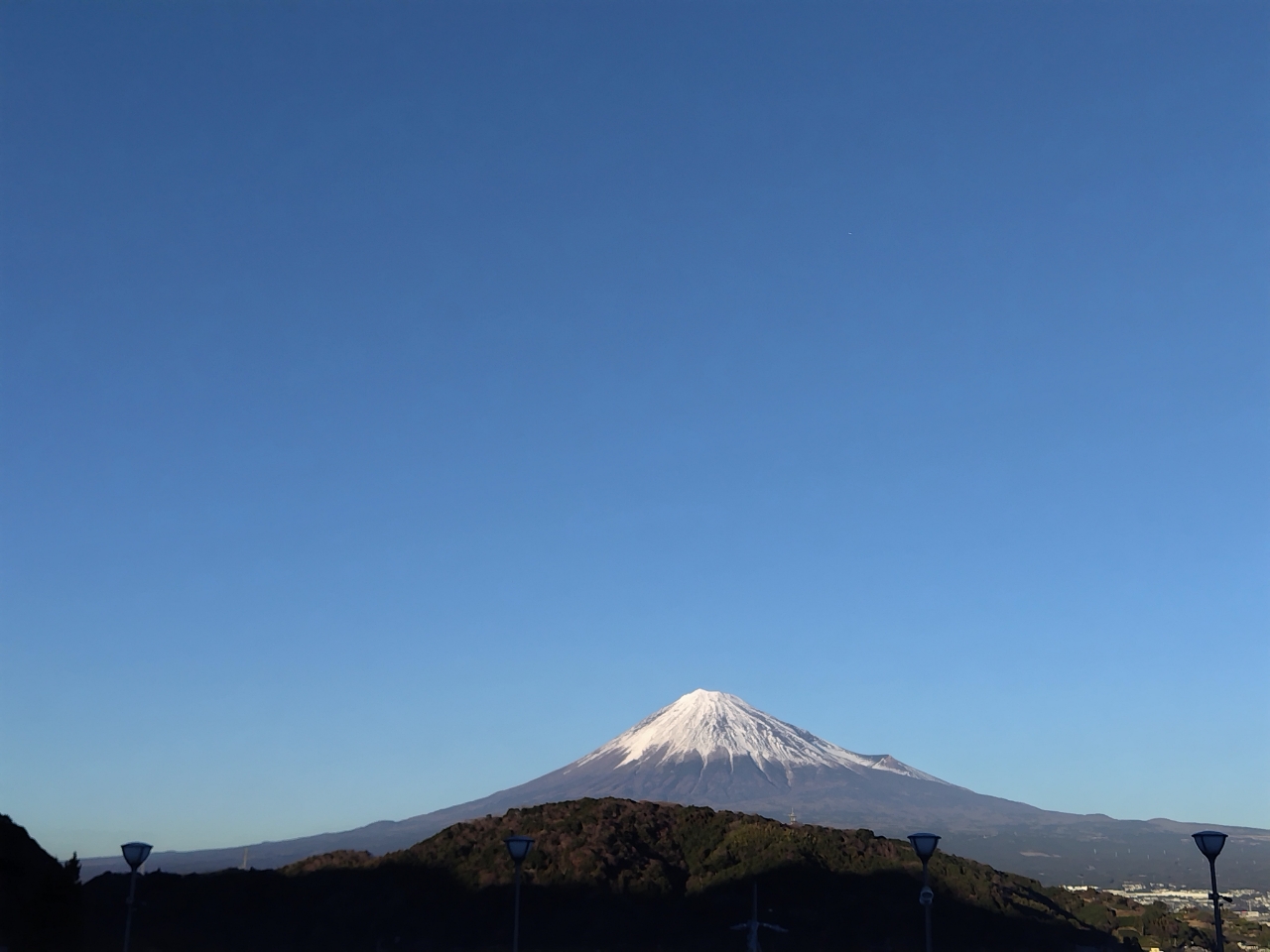 ウッカリカサゴ