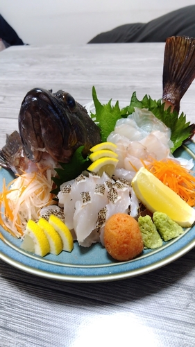 アラカブの釣果