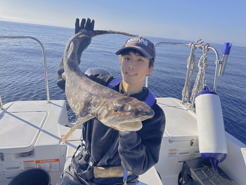 ナヌカザメの釣果