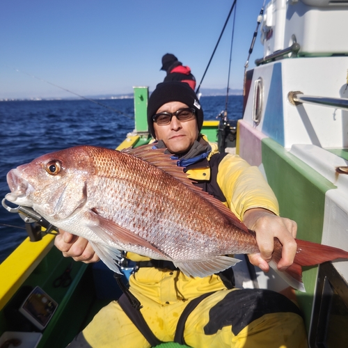 マダイの釣果