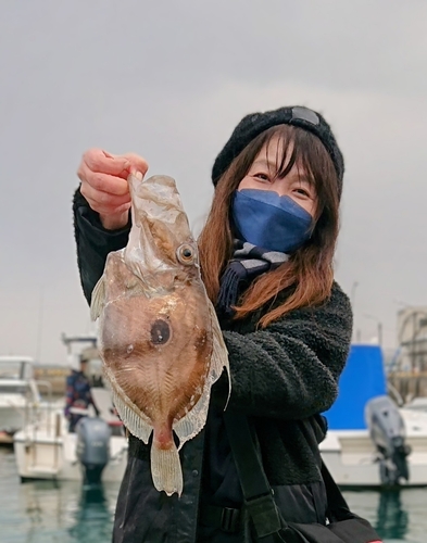 マトウダイの釣果