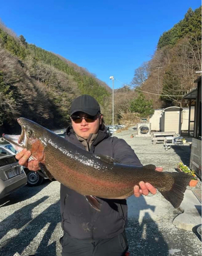 トラウトの釣果