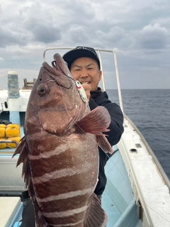 マハタの釣果