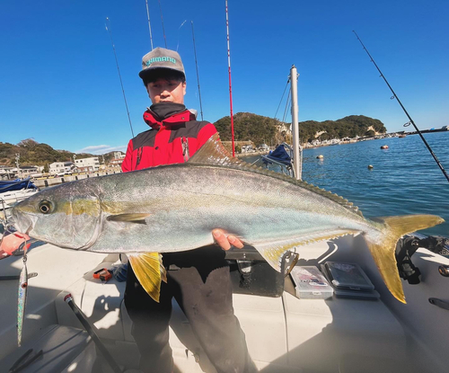 ヒラマサの釣果