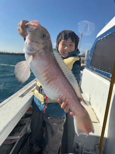 シロアマダイの釣果