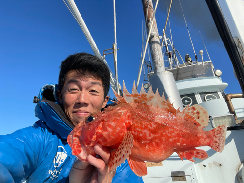 オニカサゴの釣果