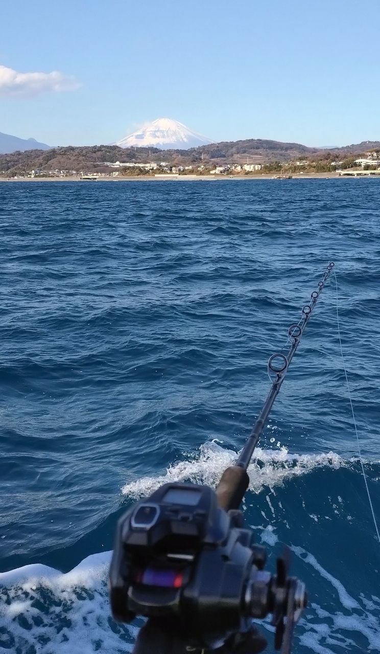 ユウチャンメンさんの釣果 2枚目の画像