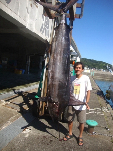 クロカジキの釣果